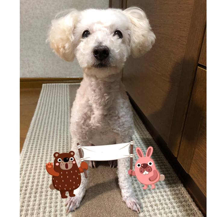 C55023bd 45a4 409e 9b59 e60b94805b26 1541476721041