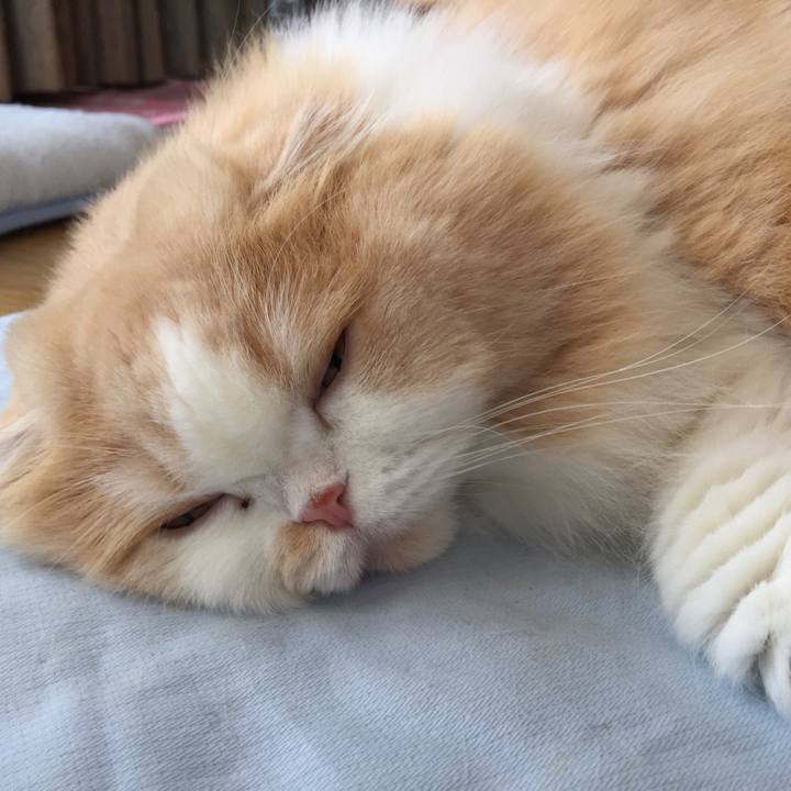 C55034f9 b017 4d00 be74 4ea23181029a 1531359175845