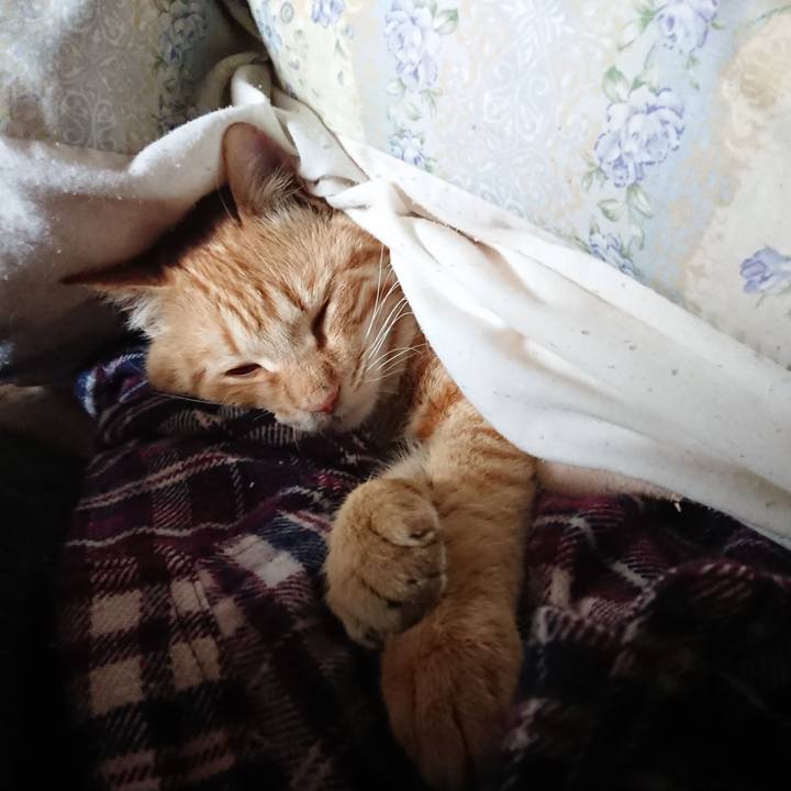 C5503b37 b3d8 4a41 91c7 6cba501a17f0 1648619484503