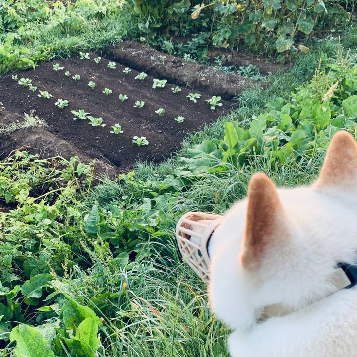 C5505648 b557 46a6 9841 9fd899a63256 1597696642660