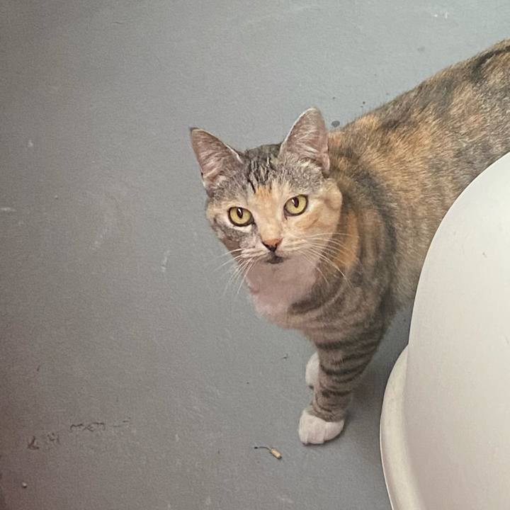 C55058f6 97f4 4a69 abb1 2c8ca9a7734c 1621858713114