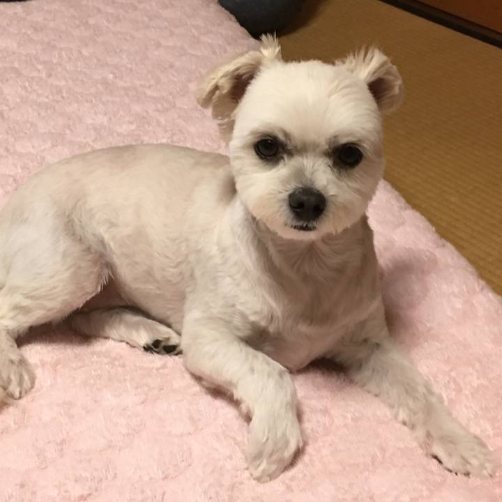 C5508b45 de5d 4010 aab9 e4fa0f6bc38c 1529580285226