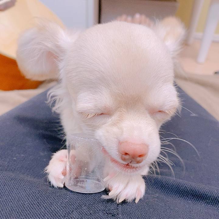 C550924e 04c9 4cd1 96e3 457606725f78 1594631785451