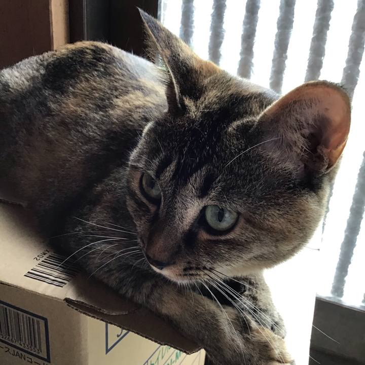 C550b635 53be 4417 a81b 0d4752e5ac09 1594266892918