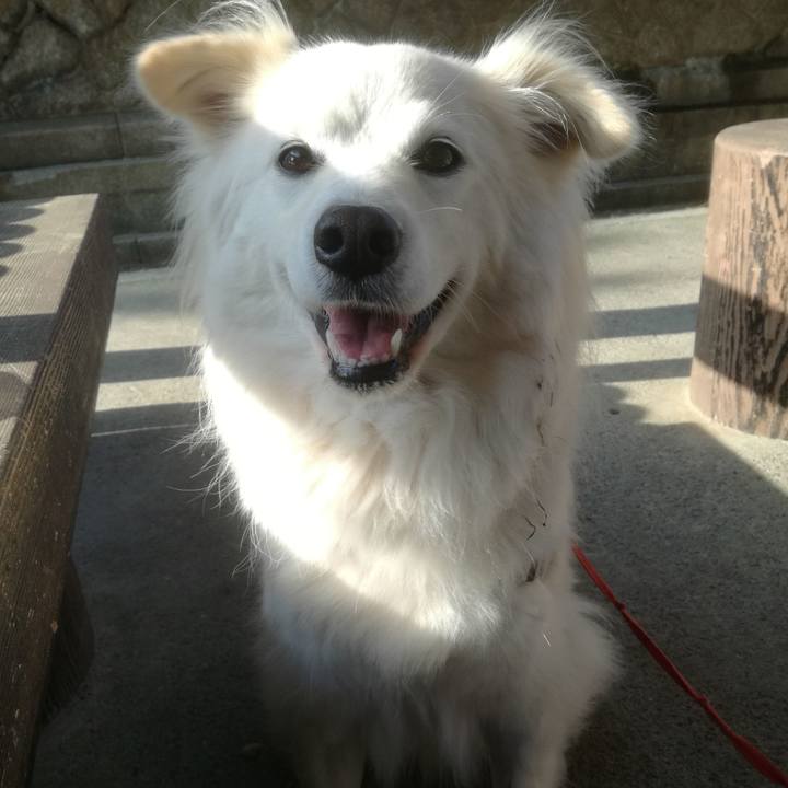 C550e421 eb96 4268 8e57 6f595997041f 1524182513620