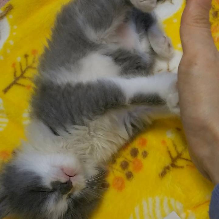 C55157fa 3535 454d 9a9a 8b35de231a94 1558565200399