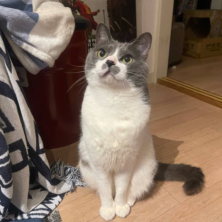 C5517ebf 7945 4055 9ad7 8442252564d3 1744640313963