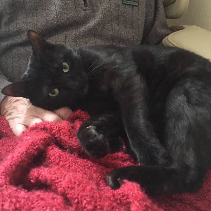 C551a733 0f91 440d 8e4a 71bdabd17a6b 1513771907941