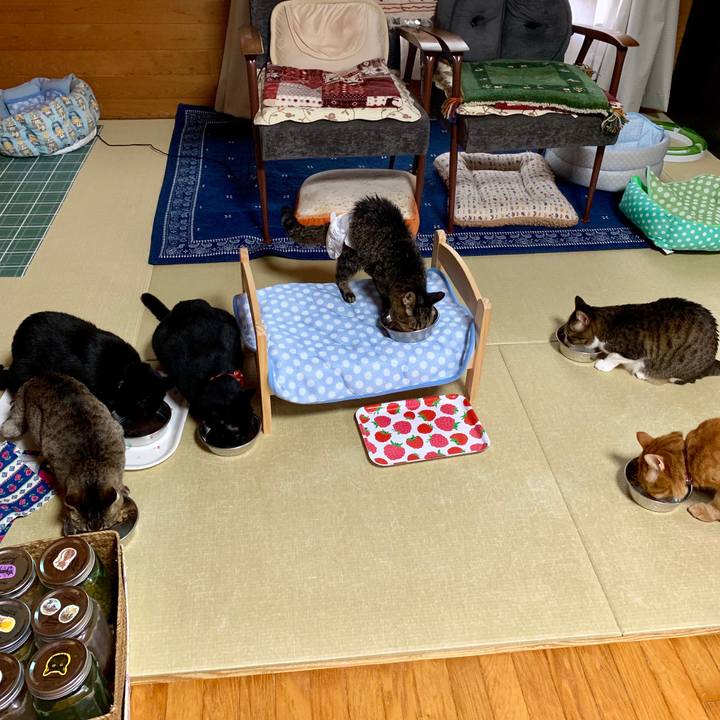 C551a9eb a852 4a44 beca 5344ae7e9e99 1561160606620