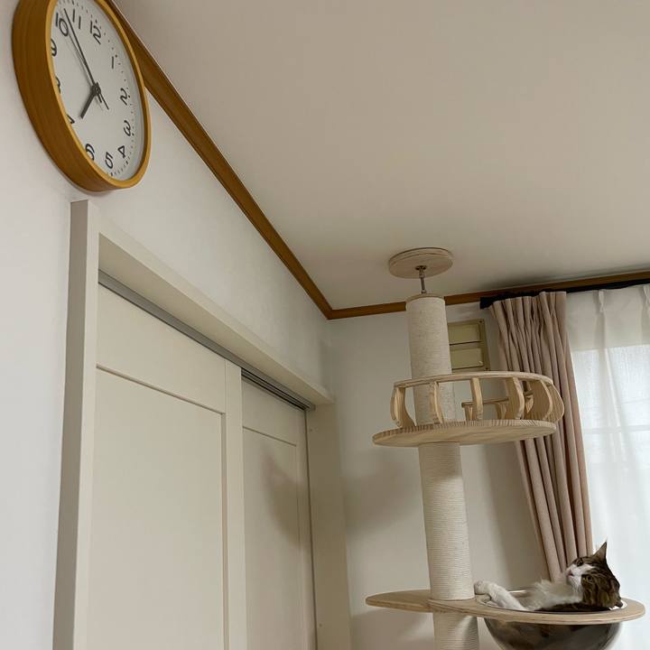 C55231a3 8776 4049 a182 f6d4f9b03e48 1664315629869