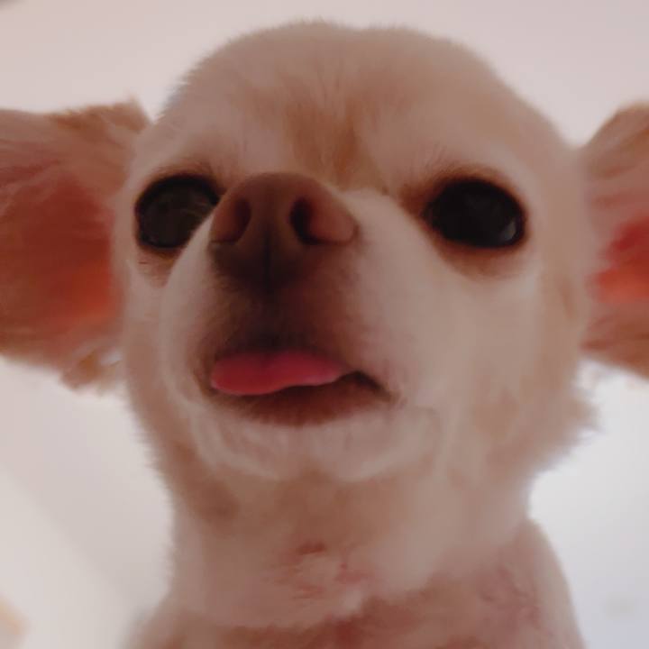 C552632e 2bbe 4eb9 aa44 70a6e4329c5a 1756385108686