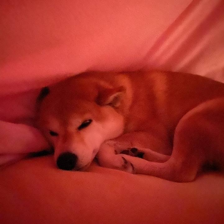 C5526fb0 a4c3 4636 84ea 351be6470739 1589039766321