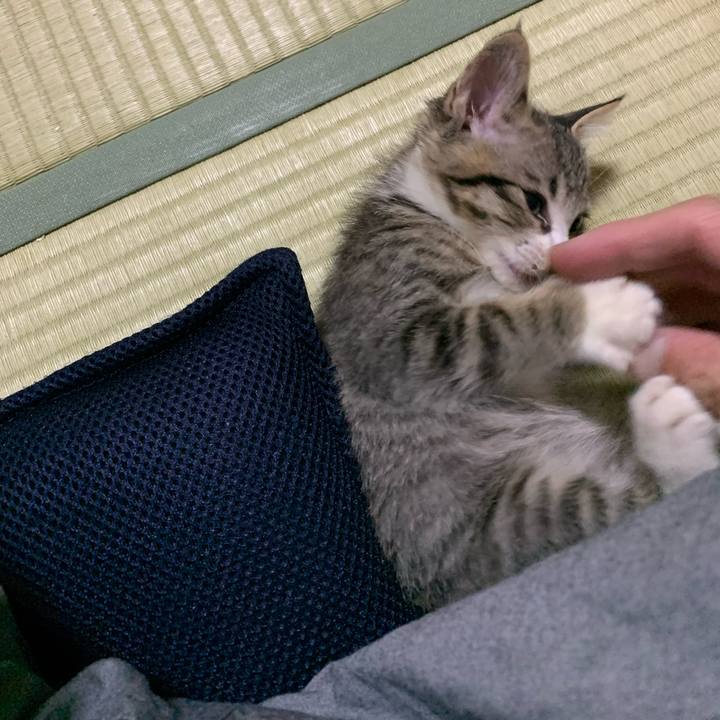 C552df94 abd4 4cab b961 93a6e41338c4 1687176119349