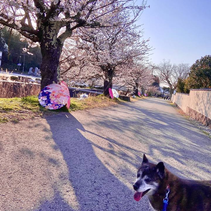 C553079a 1ba6 4258 8246 1068865df17f 1712913427269