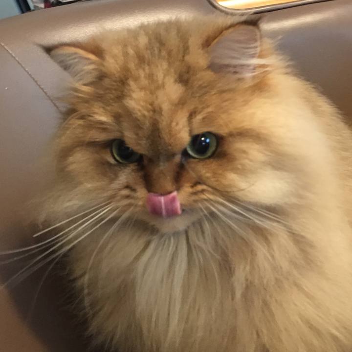 C55337e8 999e 4e54 a912 d4bab3fcc225 1551835416412