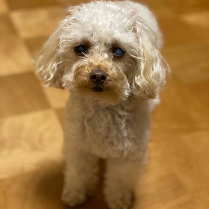 C5535006 f0f7 49a0 8fc8 029a37ede13b 1611658048534