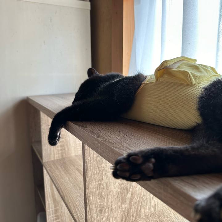 C553573a 183d 45a4 b5f0 183114820e8a 1722901979464