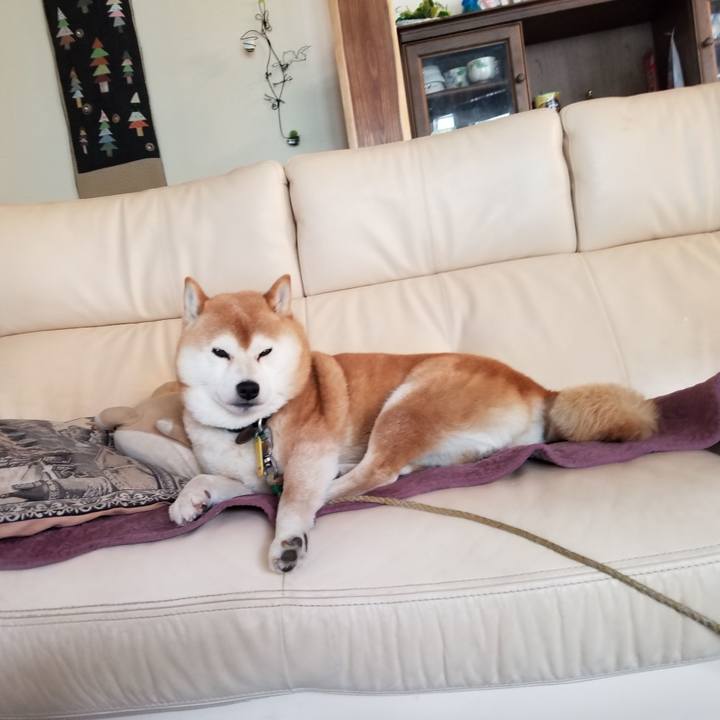 C5535cd1 ef21 4bca 9a1d e716a9ec0de1 1620513960583