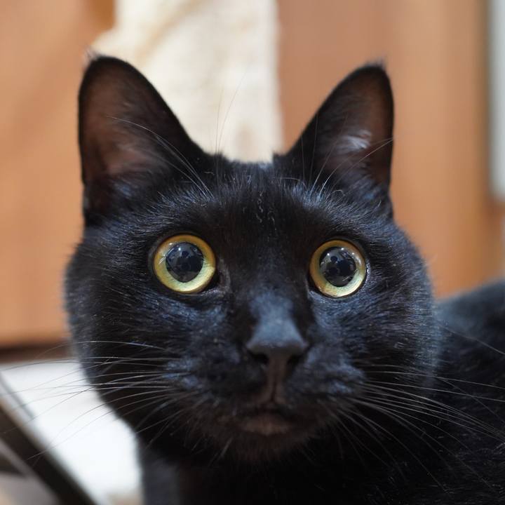 C553639d 3961 4e90 826a 633b5c65de3a 1595376113318