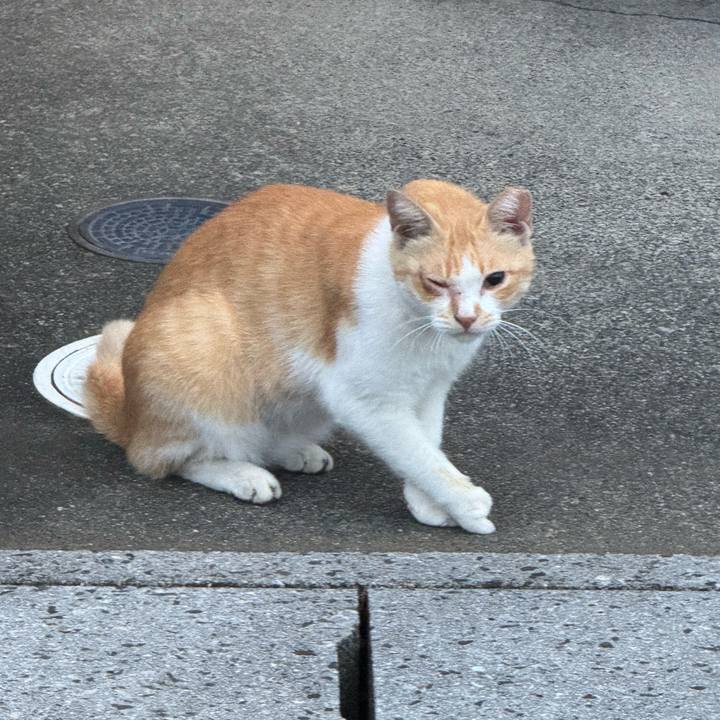 C55373a0 059b 4285 bea3 87bb9c04190f 1757990331393