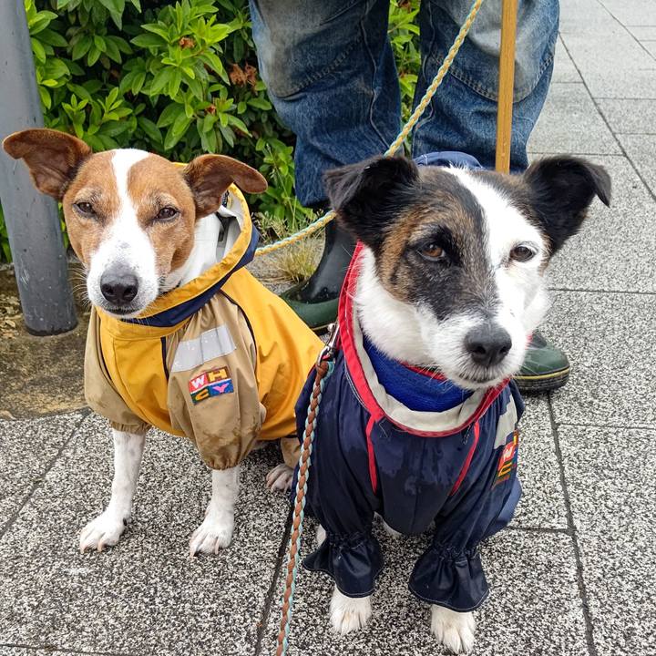 C5537742 c235 49cf 9a27 15138ad5820a 1716853175501