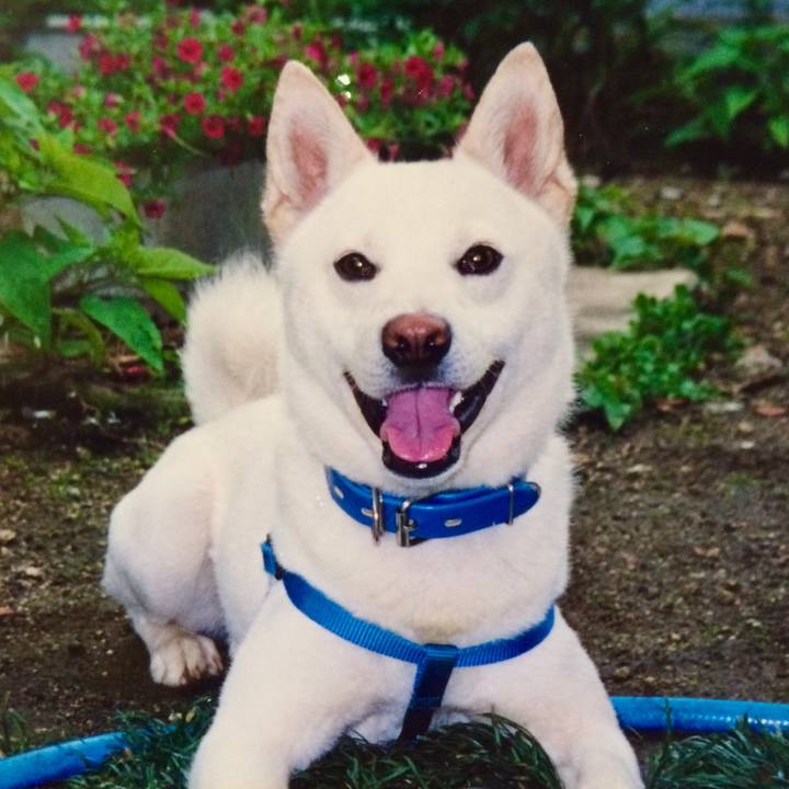 C55379d1 9c12 4ab9 8a8b c4ccebf38b5b 1628856326699