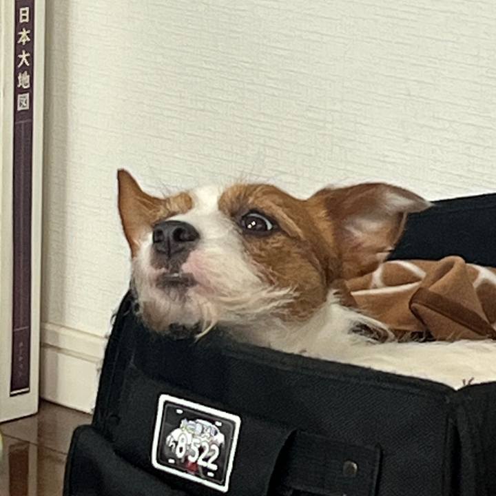 C553a2ef 85f4 454c bf7d 6126110ada75 1776387553601