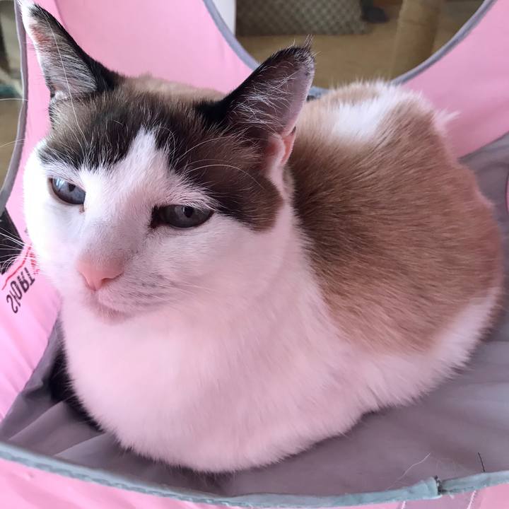 C553d5ad 6c3b 44c9 9ab2 f411e68ed290 1581668373901