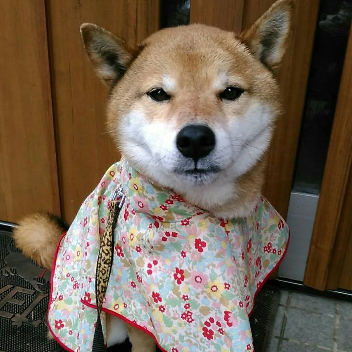 C5545f02 439b 46ae aff6 972cae932207 1551659416480