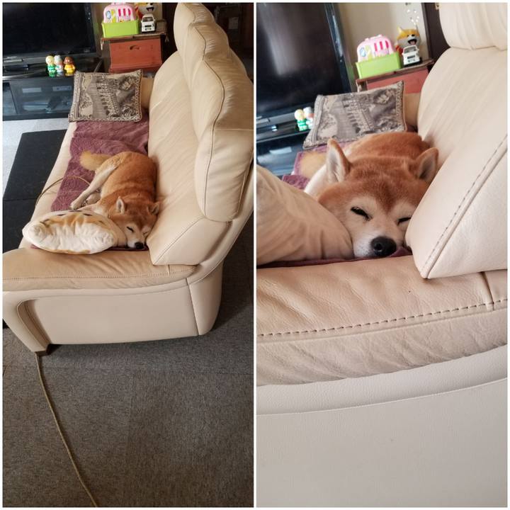 C5547b98 7703 47d7 ad1a 38be073abb63 1696641349814