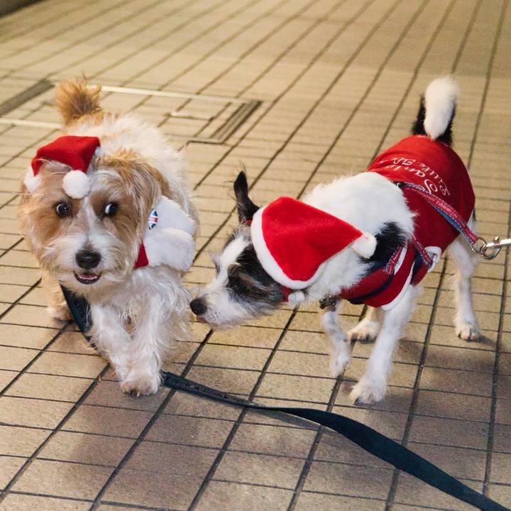 C5548a14 ee08 43fa 81ef 3cf359ecd49e 1732955348484