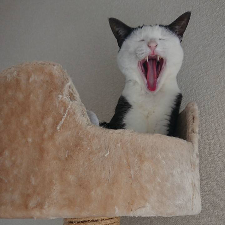 C554ca09 0951 4572 949b ddb1042e2d61 1521265647220