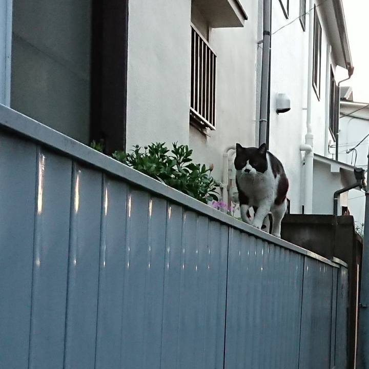 C554ee22 0644 4f9d af88 b2554f32d53e 1614603745682