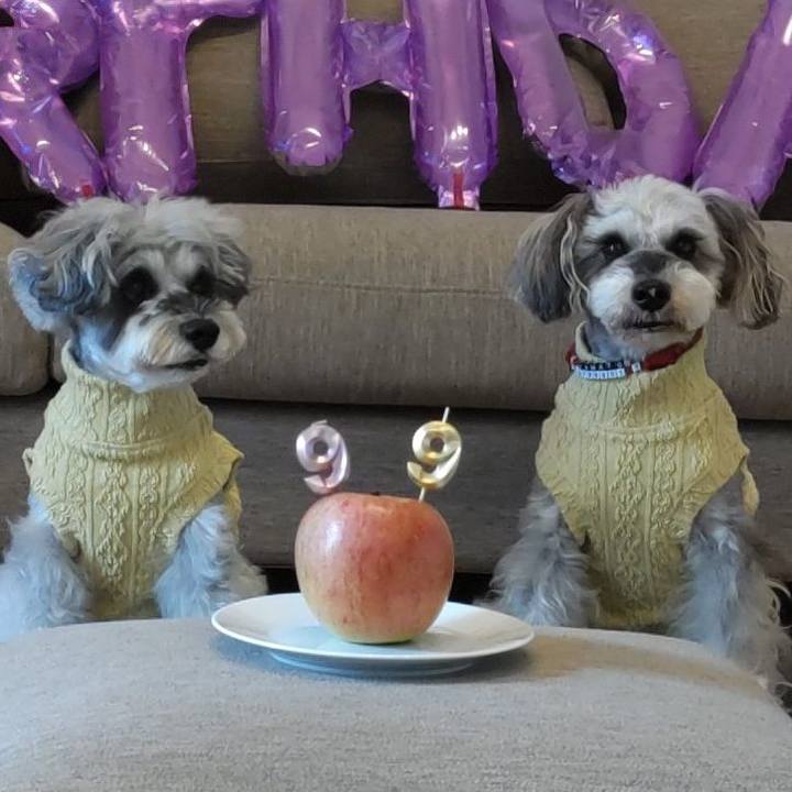 C554f52e c705 48dc 8ae8 eb6cddf2046a 1763430524022