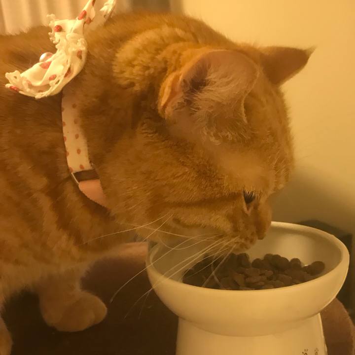 C5550d06 cc9d 4073 9729 0e0b624a7b6a 1518782268934