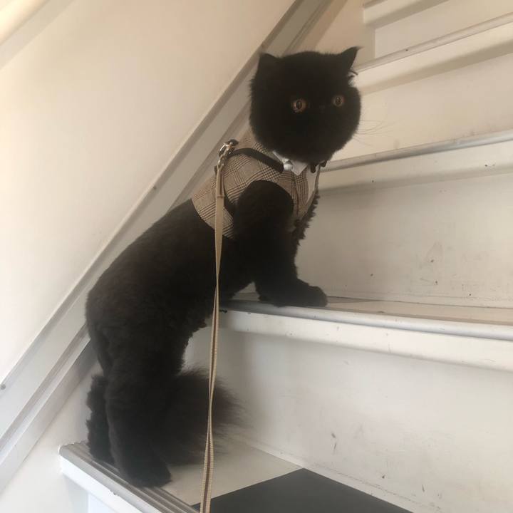 C5555db5 2f34 4bf7 a52e 566b017a5264 1687675097972