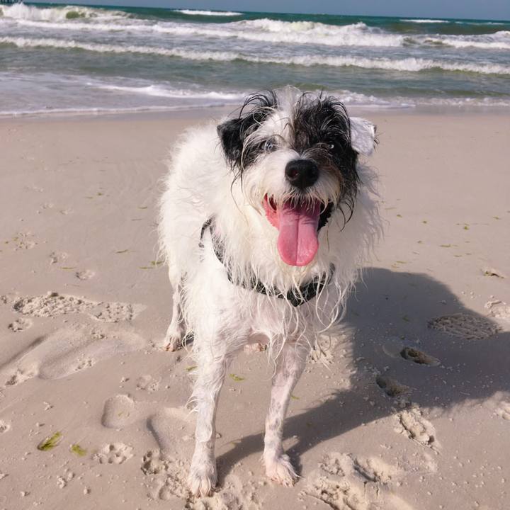 C55562a1 58cc 46cb 919d dfddad5fe78a 1564357360460