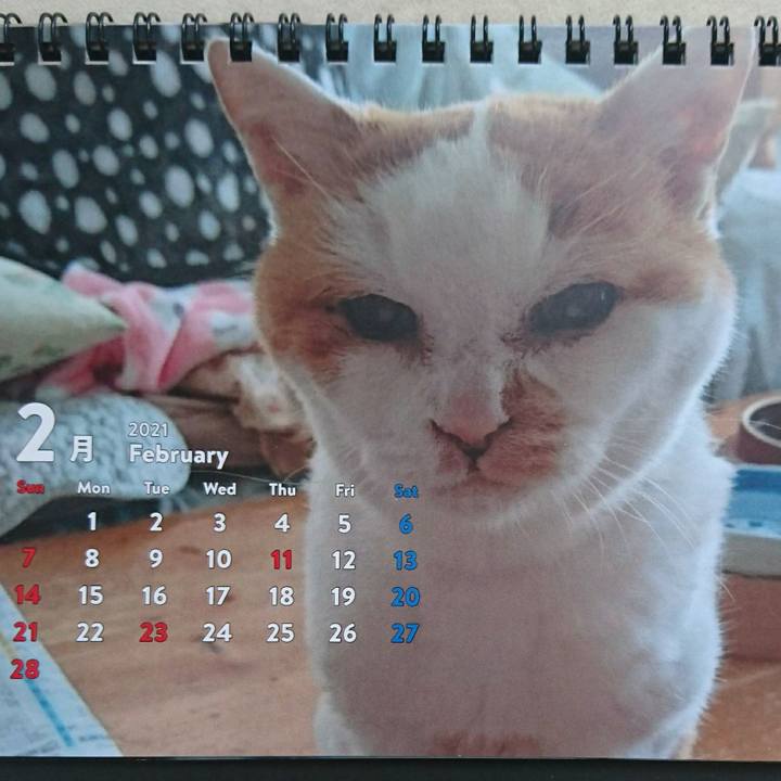 C55568c6 d62d 432c ab60 3a0b3630a69d 1612567719713