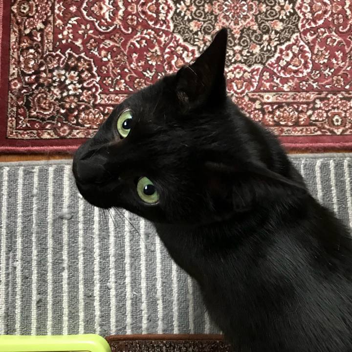 C5558471 2239 4819 b4a6 1d9ceca9fac0 1527039912587