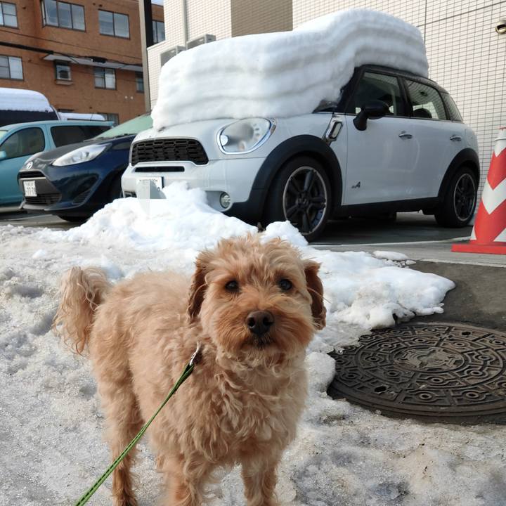 C55593a4 e5d1 4bed bbf3 c63ac73a1f16 1583706590980