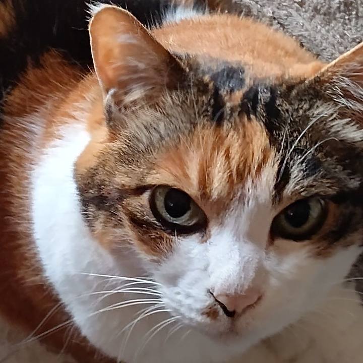 C555957b 7a6d 4bdf 9ff3 3d3542a212fa 1626060912758