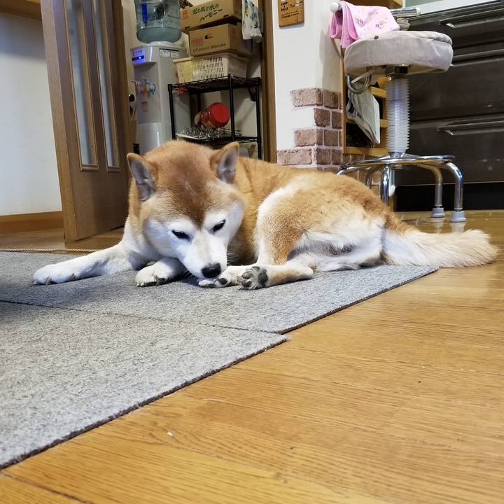 C555ed42 eb7a 44f4 837d 246a006c3280 1665183398686