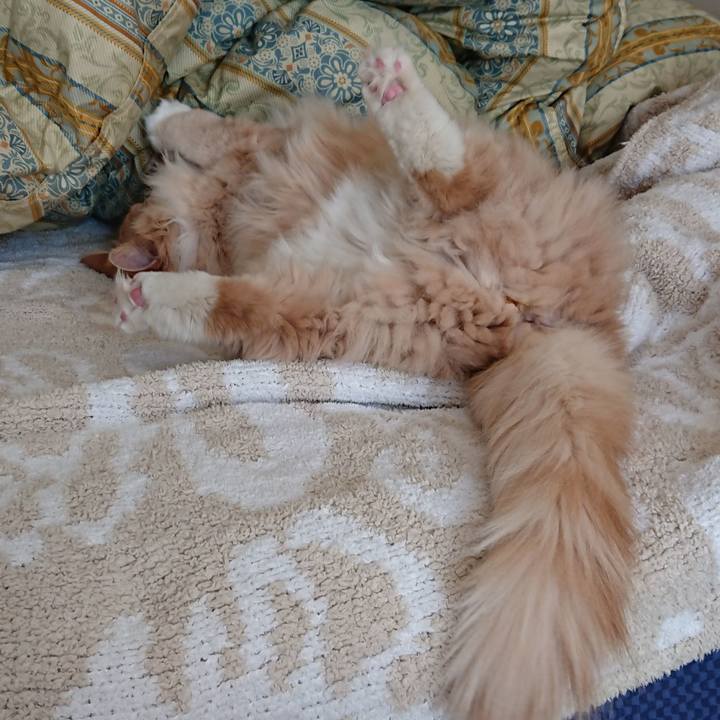 C556012b e59b 4aab 884f 024e7c564d19 1549432735338