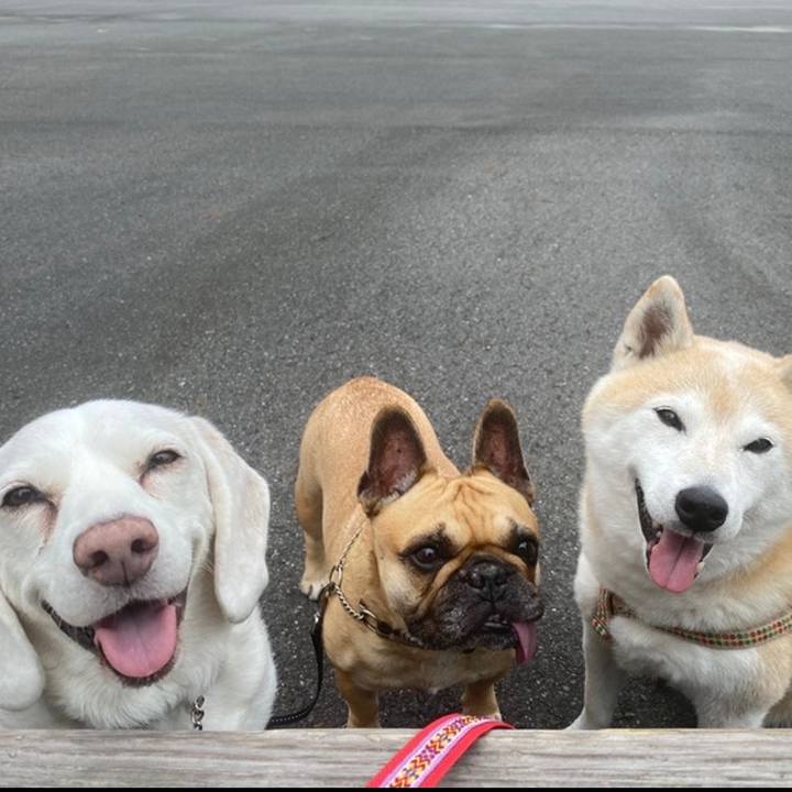 C5562047 4ae6 4531 8a6a ea8e4f836cdd 1636292929636