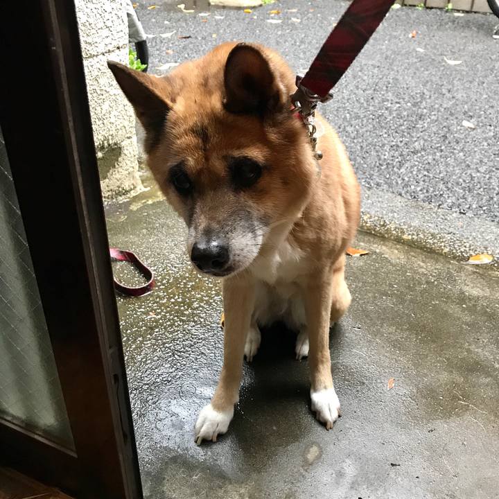 C55622d7 eb10 404b 86ac 62377e5c5437 1508365624096