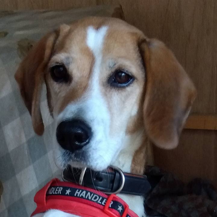 C55640e7 0d1b 4ab3 88b7 f67740215c2f 1704010735016