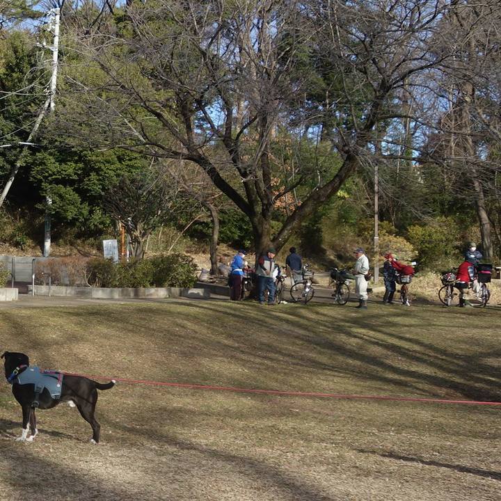 C5564b9e 5247 45a0 a0e4 e0b556d5d87a 1708045742573