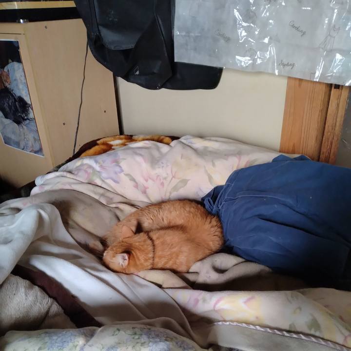 C55660e2 42c2 4ab0 8010 63a9cdf6997c 1717366080453