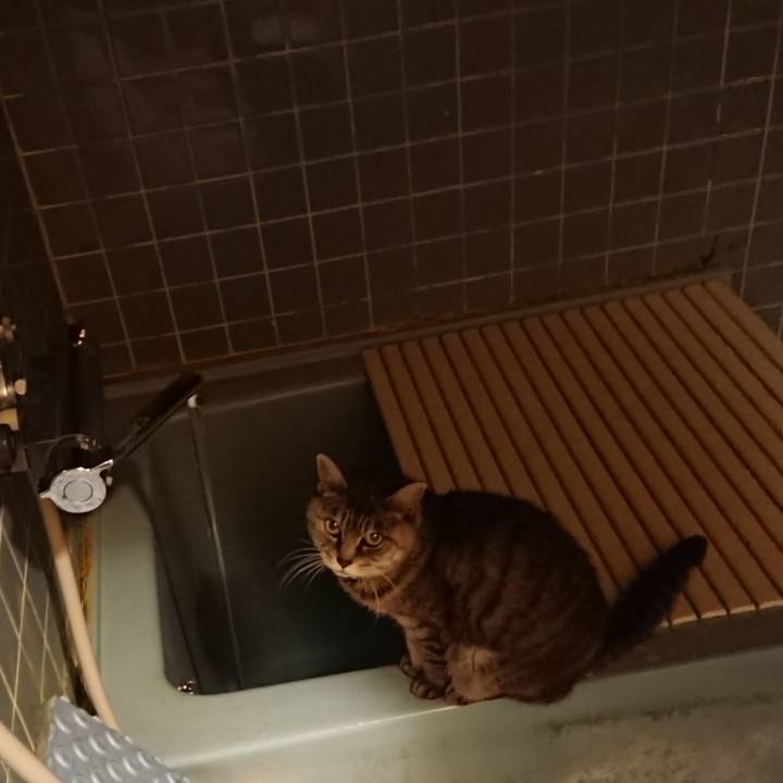 C5568bac 79fb 4f53 b7b9 d6cfee0724a4 1571218898511