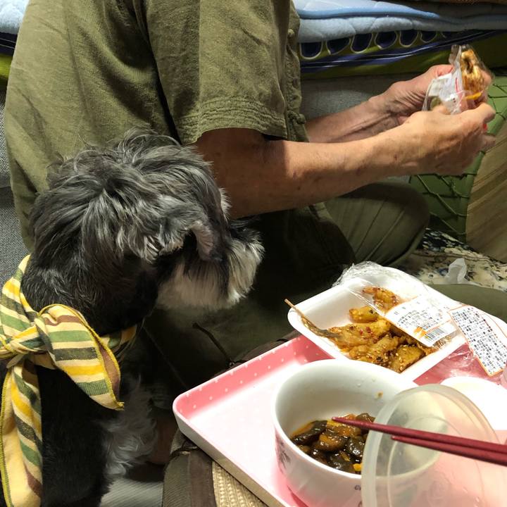 C5568dc2 b2b8 4cff 9af6 3e1b878874b5 1657542996684